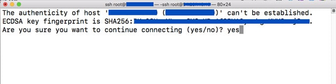 Authenticity of host in terminal SSH
