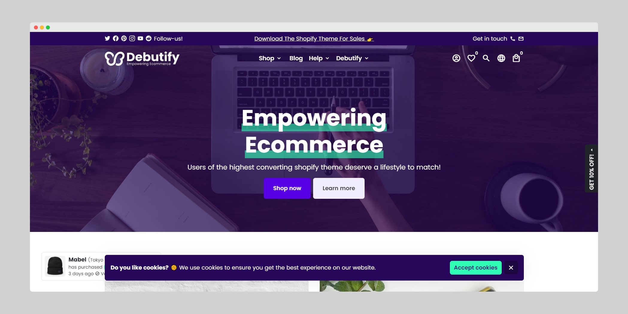 Shopify Dropshipping Themes