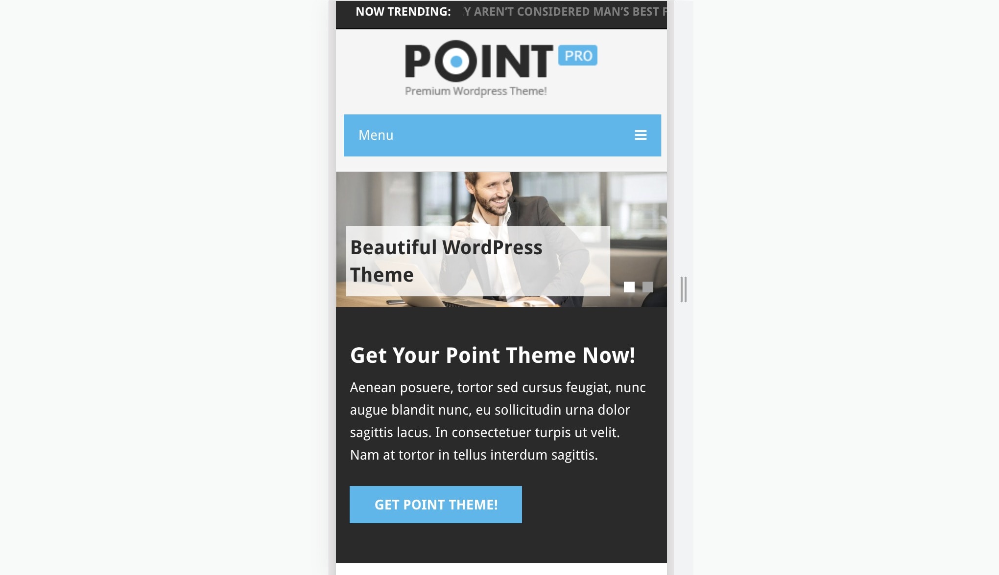 point pro mobile optimized layout